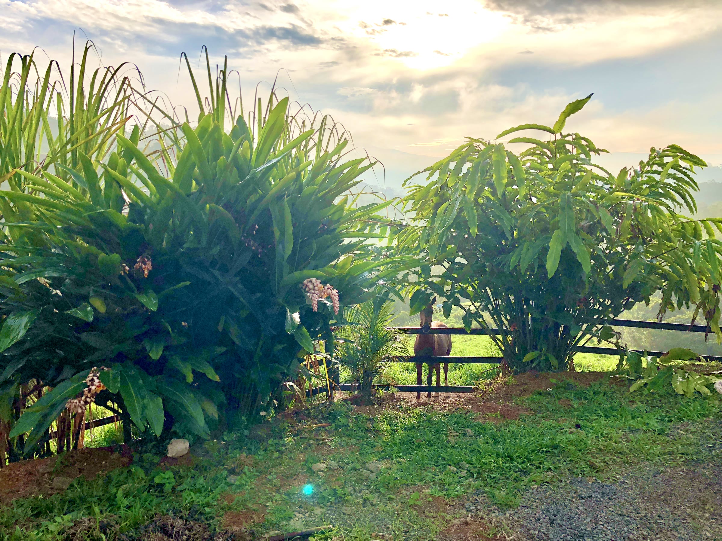 Daily work on the organic eco-farm
